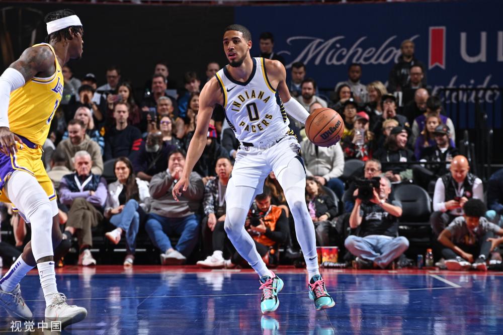 现在森林狼 现在森林狼