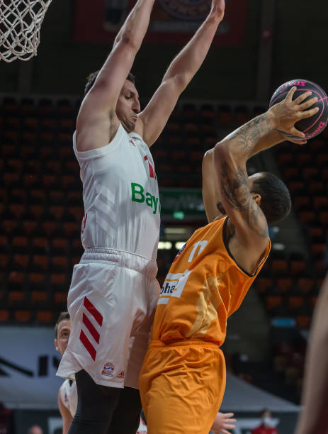 的职业生涯 的职业生涯